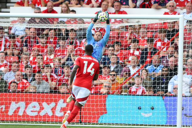 他可能会受 他可能会受